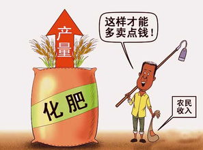 合理使用化肥，实现增产增收的关键策略