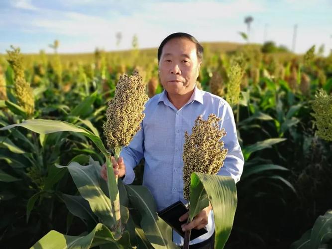 国务院:各地化肥用量的增减,将会影响党政负责人政绩!