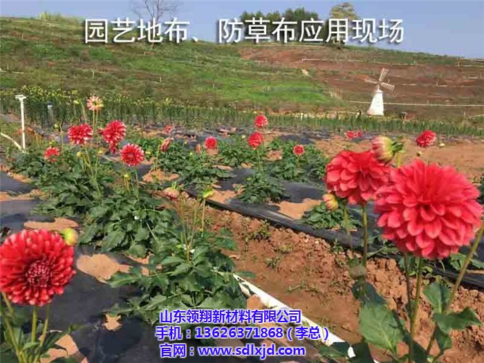 【山东领翔 图 果园防草布厂家 防草布】价格,厂家,其他建材分类-搜了网